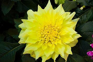 网易《逆水寒》手游公测宣传片 6月30日全平台公测